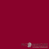  Résultat gel vegan semi-permanent Anne-Sophie 1944 Paris rouge opéra sophistiqué sur ongles naturels
