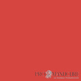 Résultat gel vegan semi-permanent Axelle 1944 Paris rouge poppy éclatant sur ongles naturels