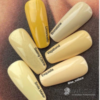 CND-Jaune-Palette