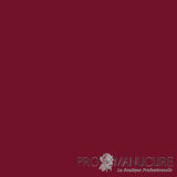 Résultat gel vegan semi-permanent Florence 1944 Paris rouge rubis brillant sur ongles naturels