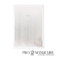 ProManucure-NailArt-Lignes-Argent