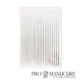 ProManucure-NailArt-Lignes-Argent