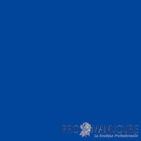 Résultat gel vegan semi-permanent Margaux 1944 Paris bleu roi opaque sur ongles naturels
