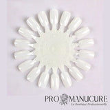 ProManucure-Nuancier-Margueritte
