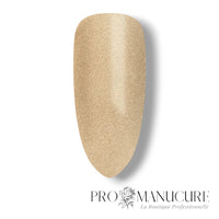 Shellac-Gold-Hardware-Fermoir_Metal-Swatch_983748df-88ba-4f64-8ad1-c477fc91a7aa