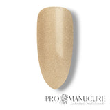 Shellac-Gold-Hardware-Fermoir_Metal-Swatch_983748df-88ba-4f64-8ad1-c477fc91a7aa
