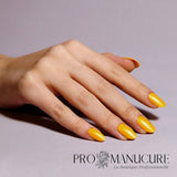 Shellac-Sundial-It-Up-Hand