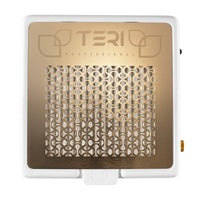 TERI 800 M - Aspirateur de Table Professionnel 100W - Blanc & Grille Gold - Garantie 5 ans