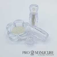 NailArt Micro Crystaux Pixies Caviar