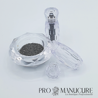 NailArt Micro Crystaux Pixies Caviar