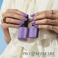 Shellac-Artisan-Bazaar-Duos
