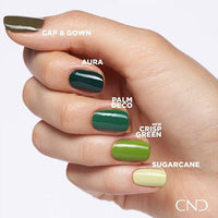 Shellac-Aura-Sans-TPO-5