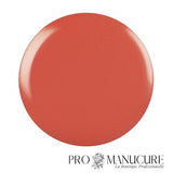 Shellac-Mambo-Beat-Swatch