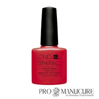 Shellac-Mambo-Beat