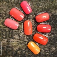 Shellac-Poppy-Fields-Tones2