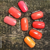 Shellac-Poppy-Fields-Tones2