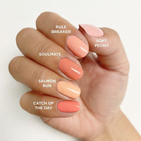Shellac-Rule-Breaker-Tones
